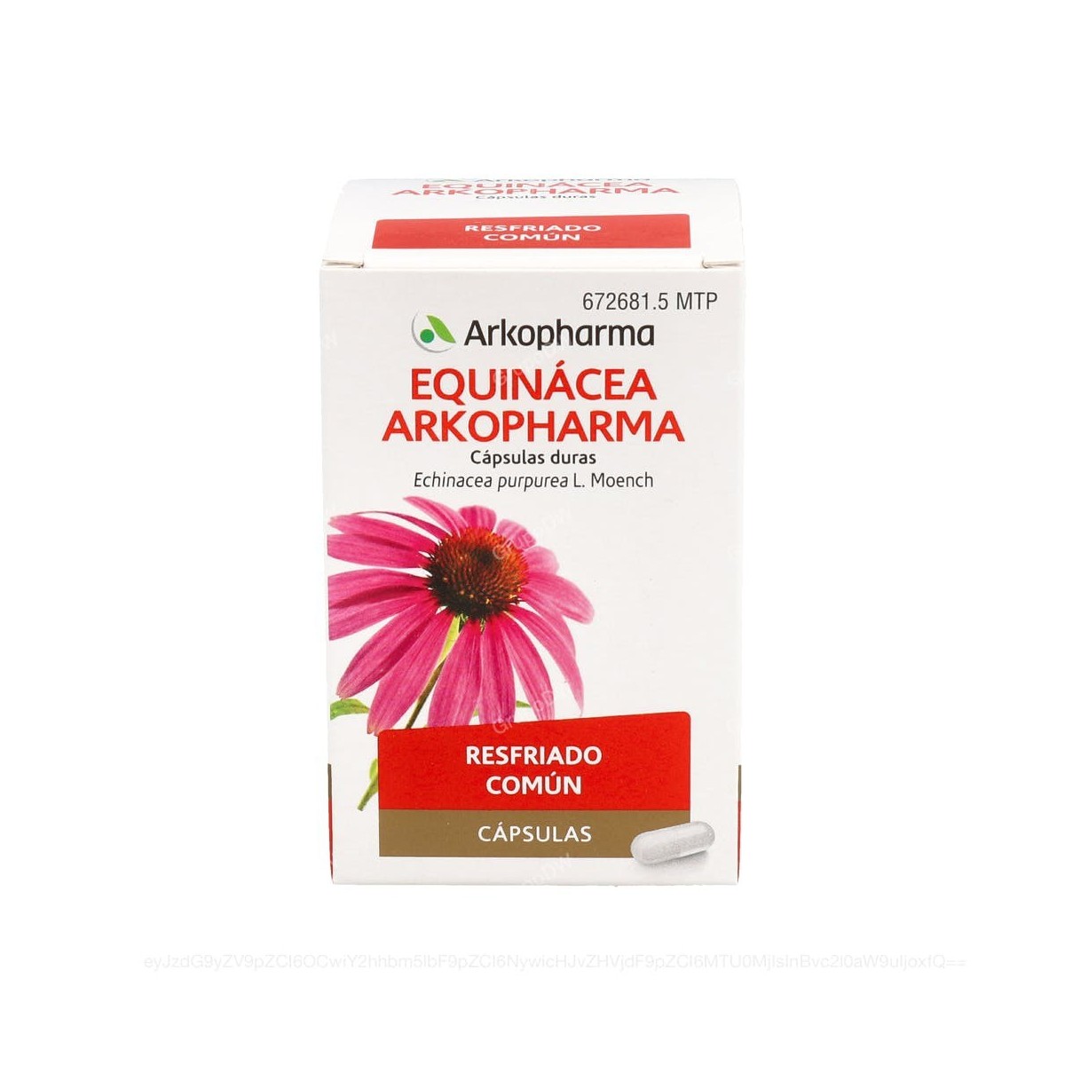 EQUINACEA ARKOPHARMA CAPSULAS DURAS, 100 capsulas
